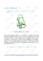 Slangemodgift | Bioteknologi