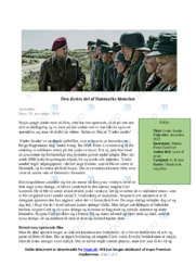 Under Sandet | Analyse | Martin Pieter Zandvliet