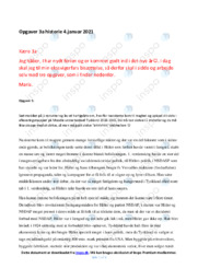 3 Opgaver | Noter Historie