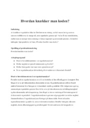 Hvordan knækker man koden? | Analyse
