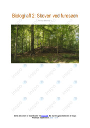 Skoven ved furesøen | Opgave