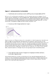 Primærproduktion hos brændælde | Biologi
