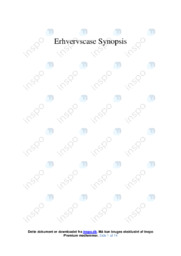 Synopsis Normal | Noter i erhvervscase | Over 11 sider