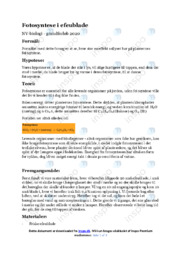 Fotosyntese i efeublade | Forsøg Biologi