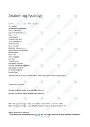 Neuromarketing | Opgave