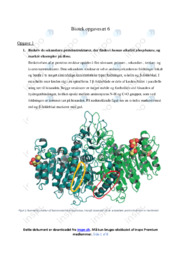 Human alkalisk phosphatase | Opgave