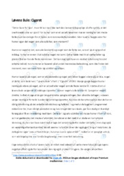 Analyse | Løvens Bule