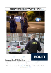Uddannelse Politibetjent | Opgave | 10 i karakter