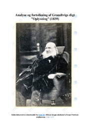 Oplysning | Analyse | Grundtvig