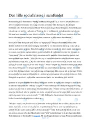 Den lille socialklasse i samfundet | Analyse