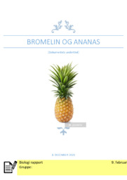 Bromelin og Ananas | Biologi Rapport