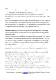 Tiger | Analyse