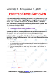 Førstegradsfunktionen | Noter Emneopgave Matematik