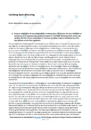 Carlsberg Byen | Analyse