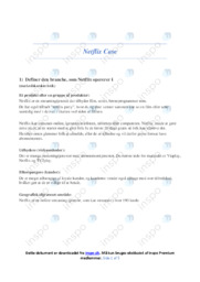 Netflix | Afsætning Case