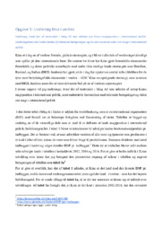 Undersøg Kina i verden | Samfundsfag