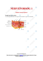 Nerveforsøg | Biologi