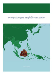 Orangutangers | Opgave