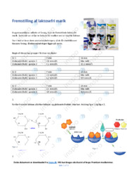 Fremstilling af laktosefri mælk | Opgave