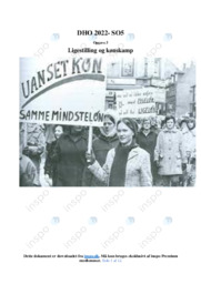 Ligestilling og kønskamp | DHO | SO5