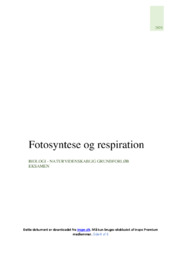 Ejendomsforbehold og fogedret | Eksamenscase