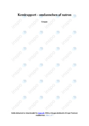 Omdannelsen af natron | Kemirapport