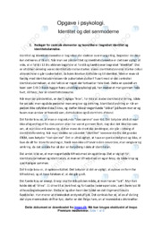 Identitet og det senmoderne | Psykologi
