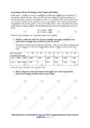 Advice Exchange rates Tanja and Selma | International økonomi