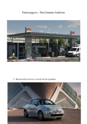 Den lineære funktion | Emneopgave Matematik