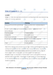 Widex AS | Virksomhedsøkonomi Case