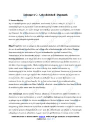 Arbejdsløshed i Danmark | Skriftelig opgave
