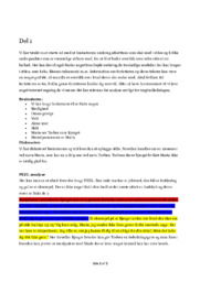 Torben og Maria | Analyse