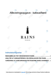 Rains | Afsætning Case | 10 i Karakter