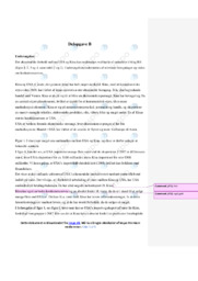 USA og Kina | Opgave