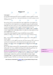 Økonomisk forhold mellem kina og USA | Analyse