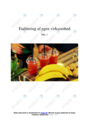 Etablering af egen virksomhed | Analyse