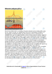 Menstruationscyklus | Noter i Biologi | Over 1 side