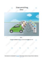 Grøn Omstilling Elbiler | Rapport SO