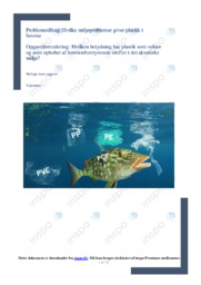 Miljøproblemer giver plastik i | Opgave | SRO