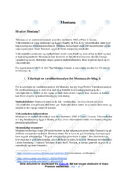 Montana | Analyse | Opgave 1-5 | Afsætning