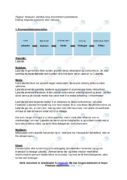 Lalandia | Promotion parameteren | Analyse | Afsætning