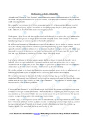 Reklamefilm af Visit Denmark | Medieanalyse | Opgave i dansk