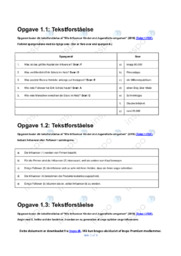 Wie Influencer Kinder und Jugendliche umgarnen | Opgave