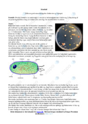 Kimfald | Opgave i biologi
