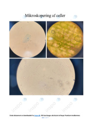 Undersøgelser om celler | Analyse | Opgave