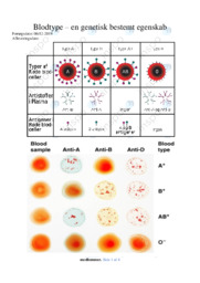 Blodtype | Genetisk bestemt egenskab | Rapport