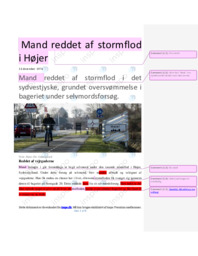 Reddet af vejrguderne | Dansk Artikel