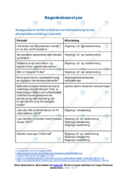 Lalandia | Regnskabsanalyse | Analyse | Virksomhedsøkonomi
