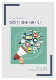 Søsterne Grene | Virksomhedsøkonomi