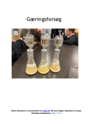 Gæringsforsøg | Rapport Biologi